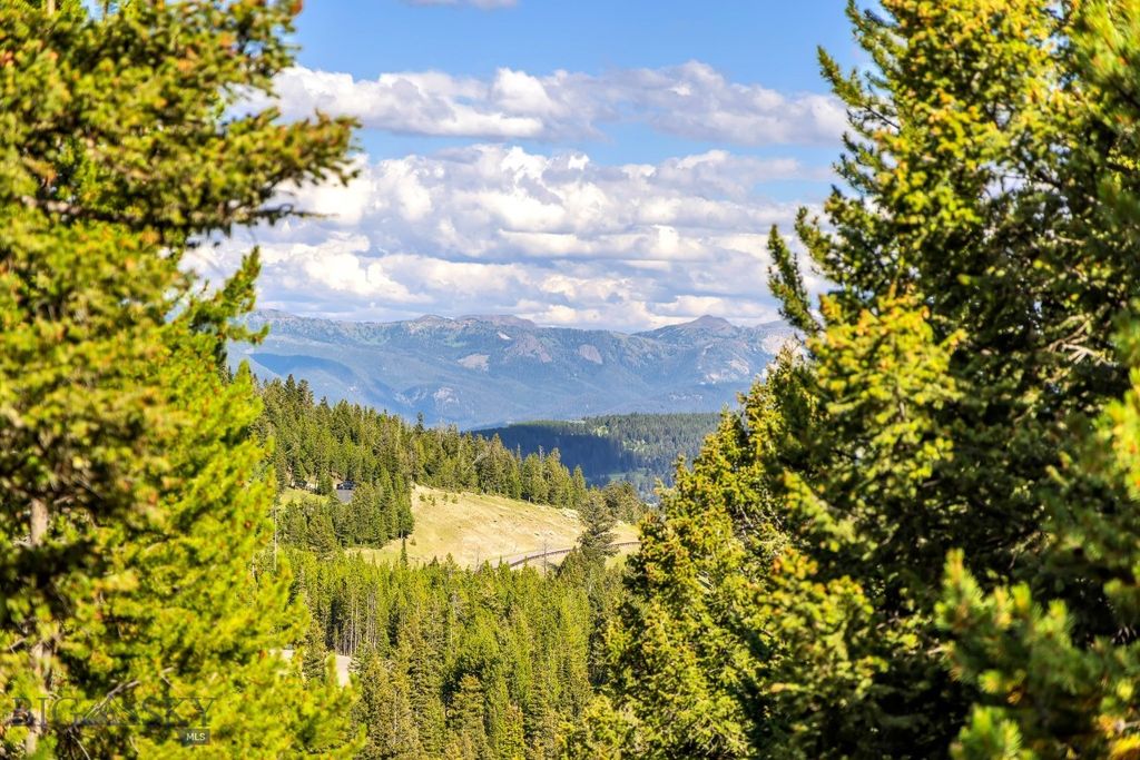 Lot 2 Wheatgrass Meadows, Big Sky, MT 59716 photo 8