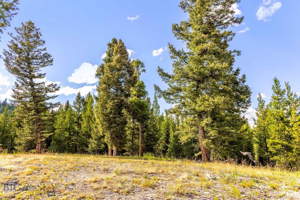 Lot 2 Wheatgrass Meadows, Big Sky, MT 59716 photo 9