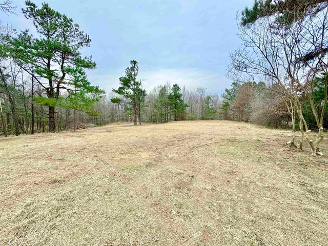 6400 KERRVILLE-ROSEMARK RD, Millington, TN 38053