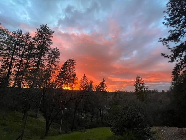 5025 Lafaille Ln, Greenwood, CA 95635