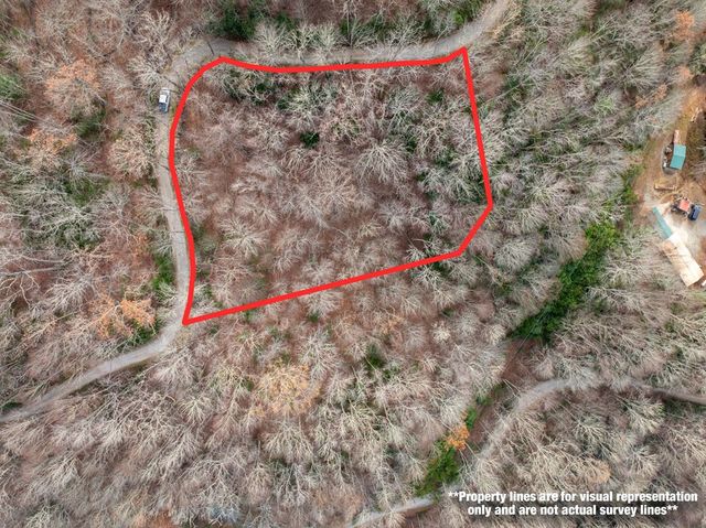 Lot 5 Mountain Tabor, Topton, NC 28781