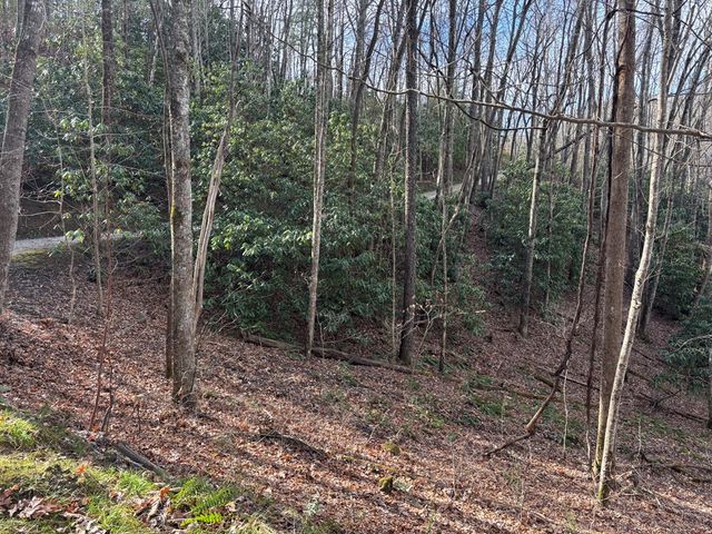 Lot 5 Mountain Tabor, Topton, NC 28781