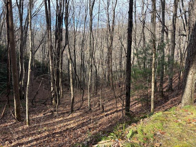 Lot 5 Mountain Tabor, Topton, NC 28781