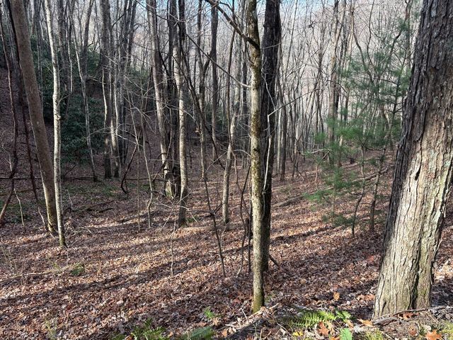 Lot 5 Mountain Tabor, Topton, NC 28781