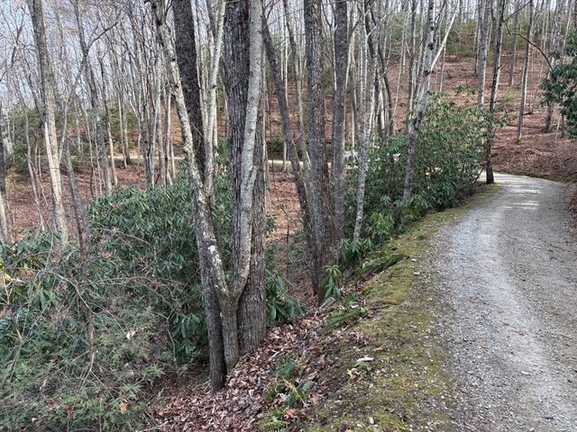 Lot 5 Mountain Tabor, Topton, NC 28781