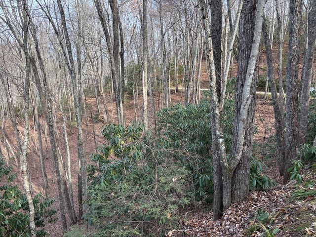 Lot 5 Mountain Tabor, Topton, NC 28781