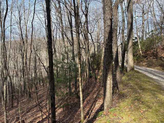 Lot 5 Mountain Tabor, Topton, NC 28781