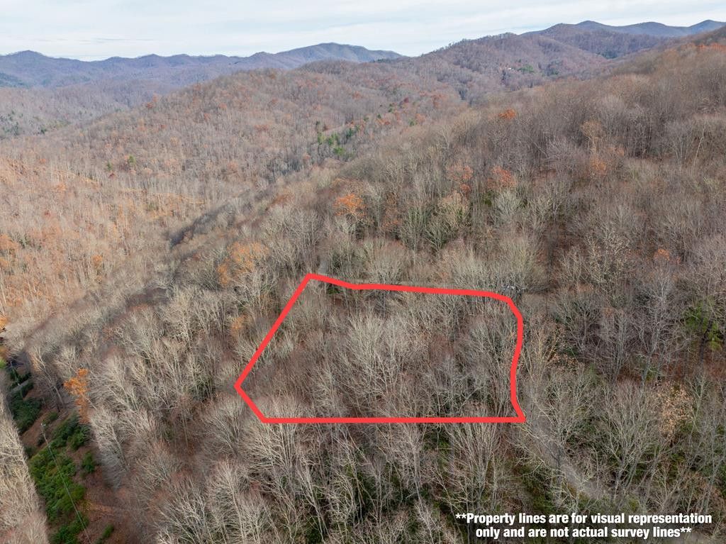 Lot 5 Mountain Tabor, Topton, NC 28781