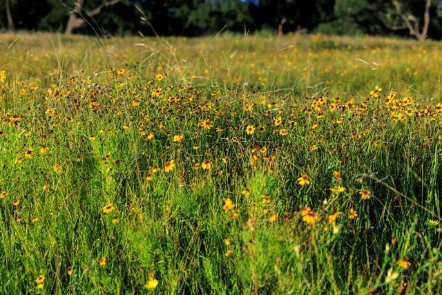 3736-4 County Rd 113, Llano, TX 78643