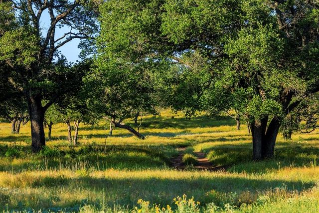 3736-4 County Rd 113, Llano, TX 78643