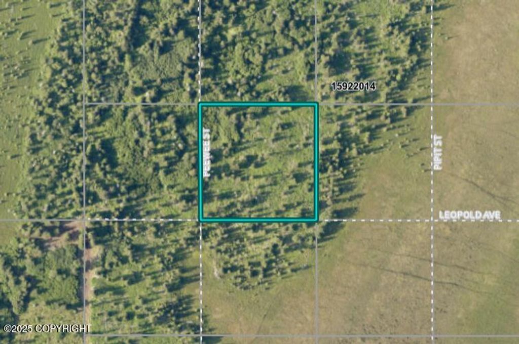 68404 Leopold Avenue, Anchor Point, AK 99556
