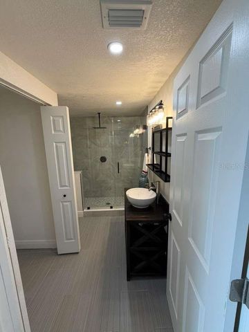 343 SHORE DRIVE E, Oldsmar, FL 34677