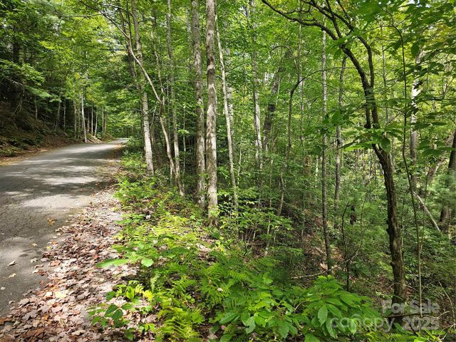 99999 Majestic Trace 25, Hendersonville, NC 28739