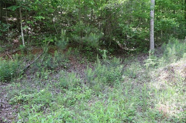 0 Parksbrook Road A, Ellijay, GA 30540
