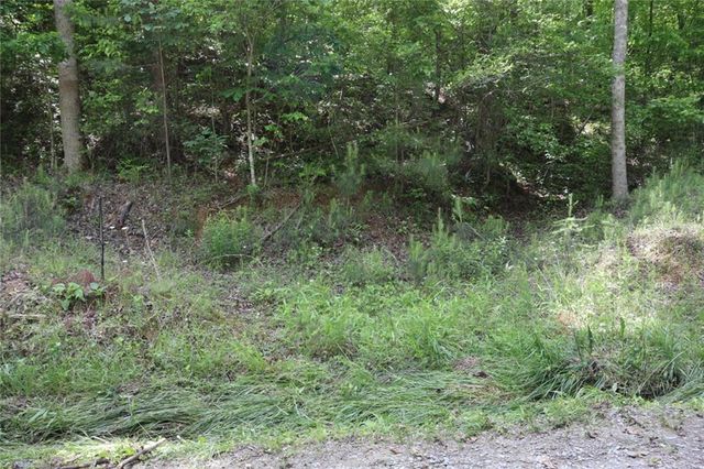 0 Parksbrook Road A, Ellijay, GA 30540