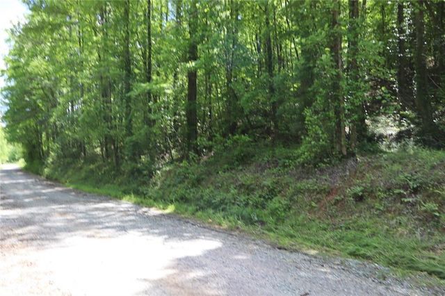 0 Parksbrook Road A, Ellijay, GA 30540