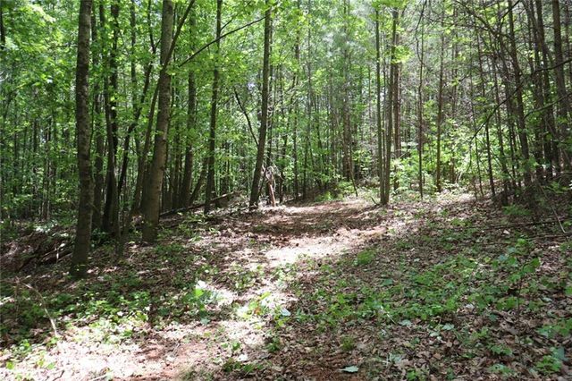0 Parksbrook Road A, Ellijay, GA 30540