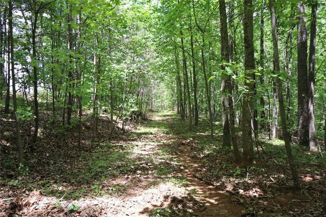 0 Parksbrook Road A, Ellijay, GA 30540