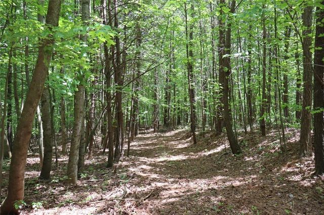 0 Parksbrook Road A, Ellijay, GA 30540