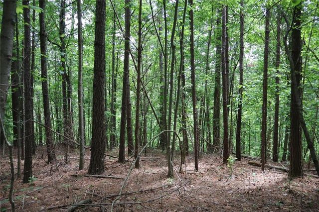 0 Parksbrook Road A, Ellijay, GA 30540