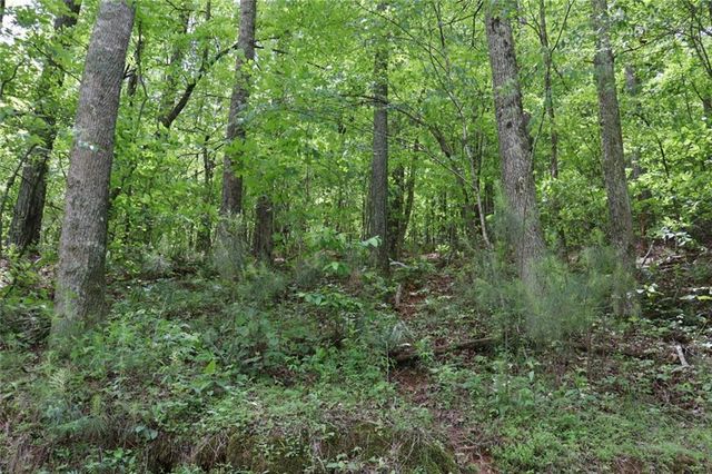 0 Parksbrook Road A, Ellijay, GA 30540