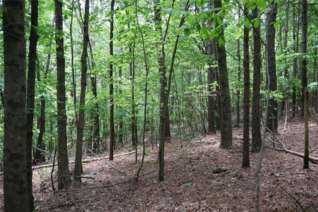 0 Parksbrook Road A, Ellijay, GA 30540