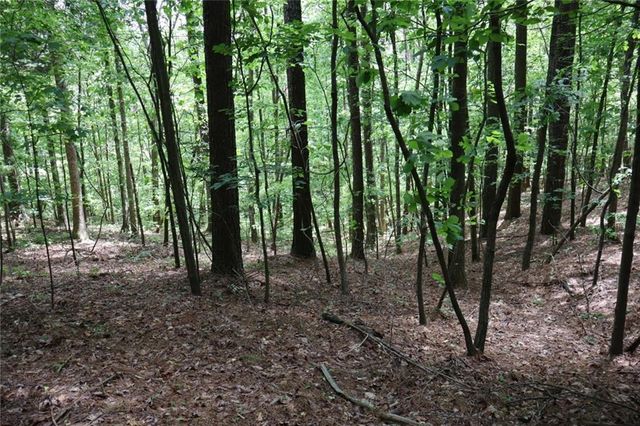 0 Parksbrook Road A, Ellijay, GA 30540