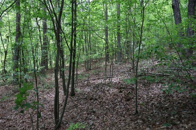 0 Parksbrook Road A, Ellijay, GA 30540