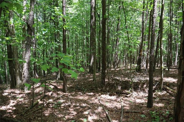0 Parksbrook Road A, Ellijay, GA 30540