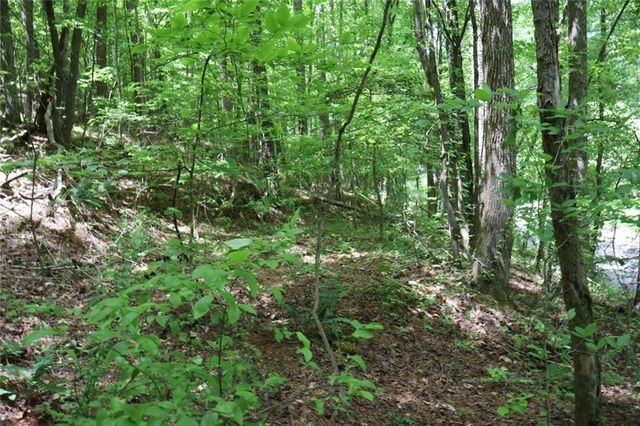 0 Parksbrook Road A, Ellijay, GA 30540