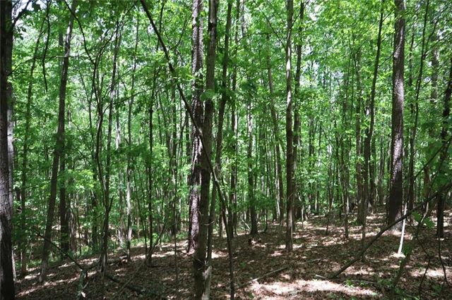 0 Parksbrook Road A, Ellijay, GA 30540