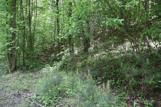 0 Parksbrook Road A, Ellijay, GA 30540