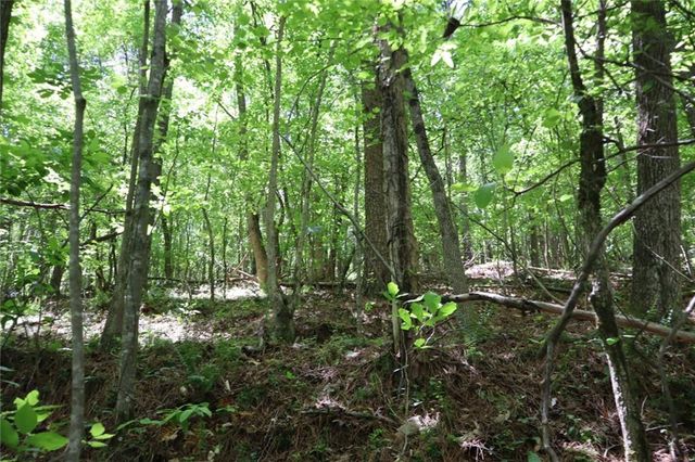 0 Parksbrook Road A, Ellijay, GA 30540