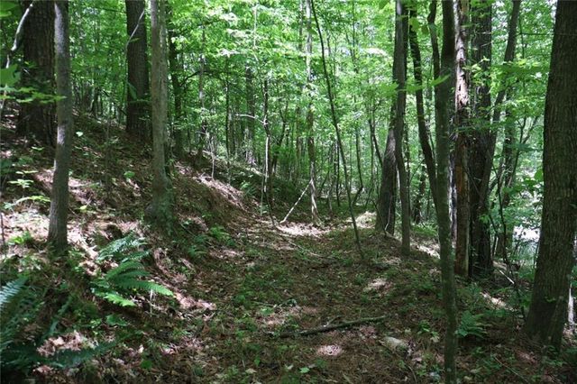 0 Parksbrook Road A, Ellijay, GA 30540
