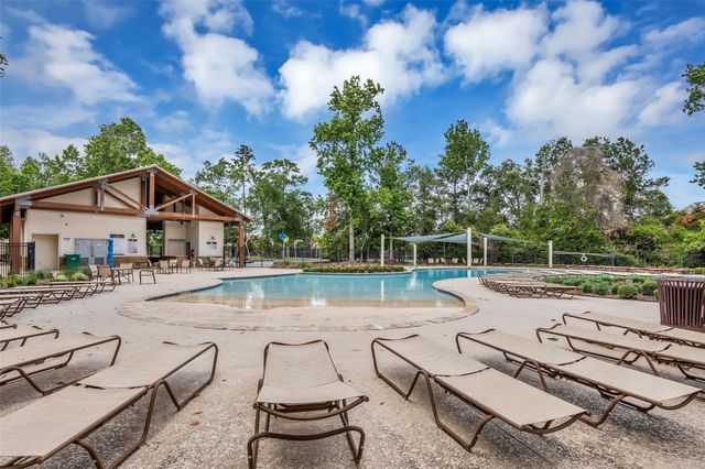 3819 Dortmund, Spring, TX 77386