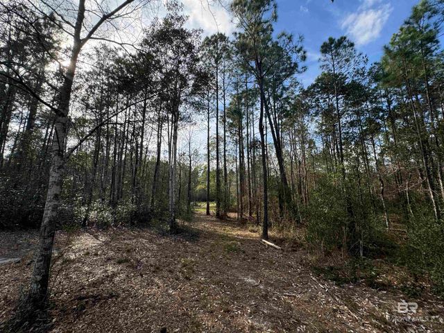 51235 Phillipsville Road, Bay Minette, AL 36507