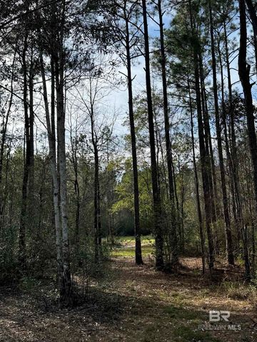 51235 Phillipsville Road, Bay Minette, AL 36507