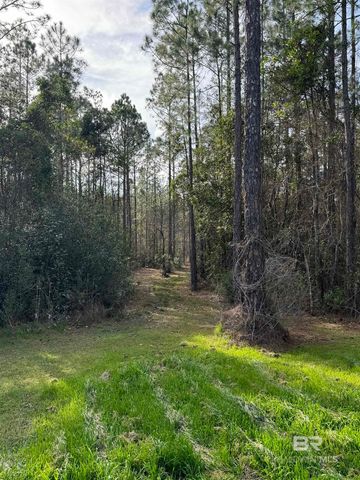 51235 Phillipsville Road, Bay Minette, AL 36507