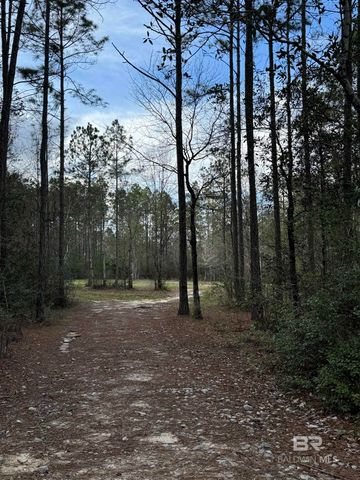 51235 Phillipsville Road, Bay Minette, AL 36507