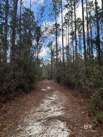 51235 Phillipsville Road, Bay Minette, AL 36507
