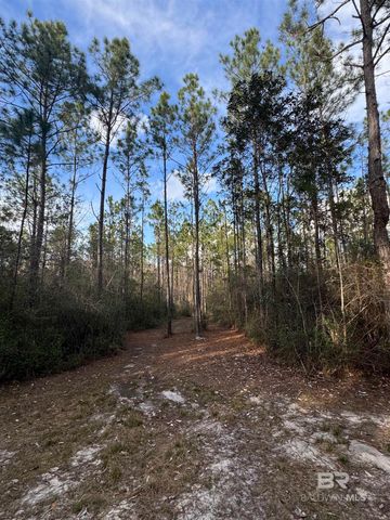 51235 Phillipsville Road, Bay Minette, AL 36507