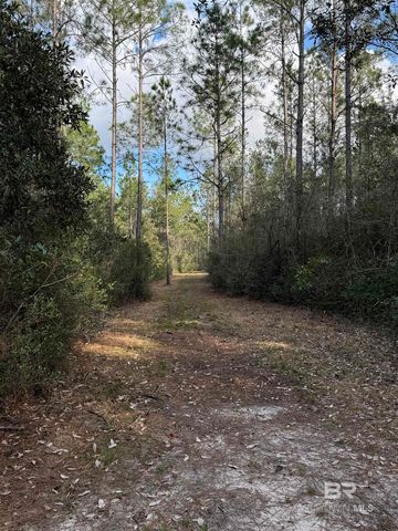 51235 Phillipsville Road, Bay Minette, AL 36507