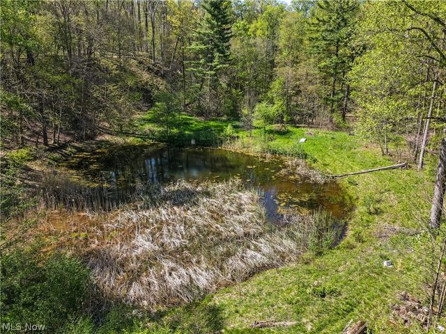12376 Heath Road, Chesterland, OH 44026