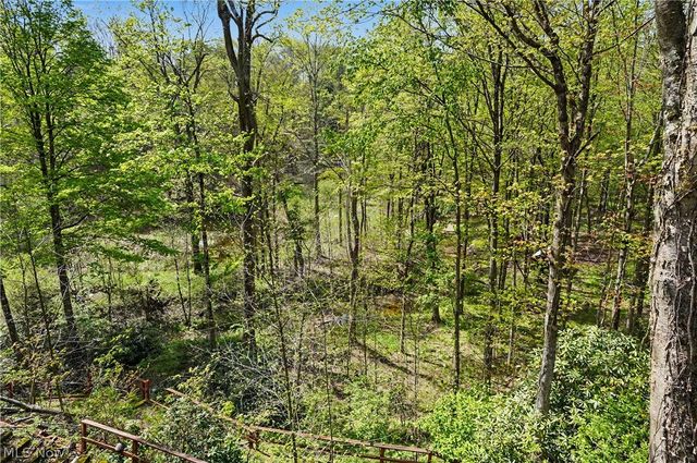 12376 Heath Road, Chesterland, OH 44026