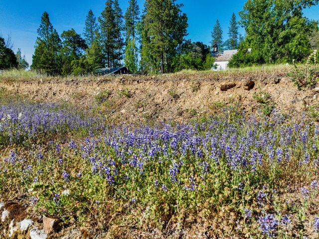 13351 Newtown Rd, Nevada City, CA 95959