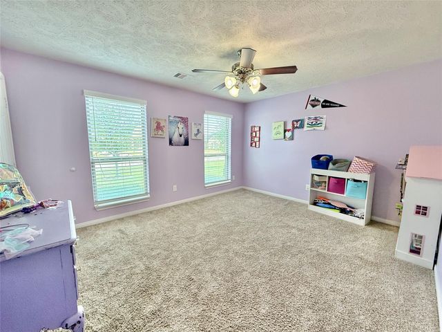 2504 Rosa Rita Drive, League City, TX 77573