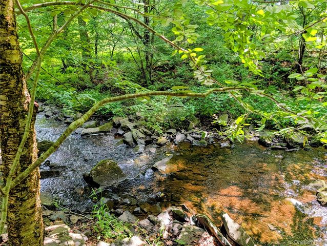 38 Hoffman Road, Narrowsburg, NY 12764