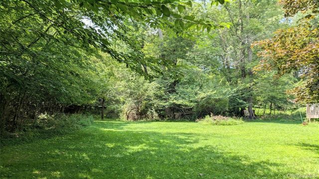 38 Hoffman Road, Narrowsburg, NY 12764