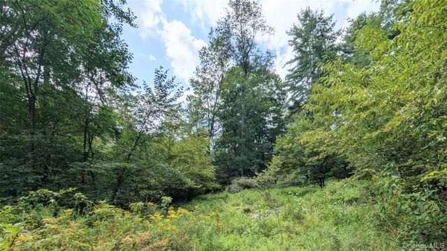 38 Hoffman Road, Narrowsburg, NY 12764
