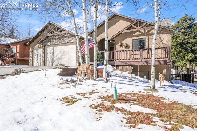 1116 Ptarmigan Drive, Woodland Park, CO 80863